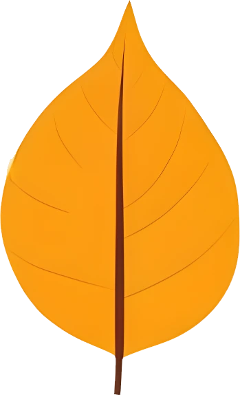 rendy Foliage Design, Leaf PNG Download, Tropical different type exotic leaves set_19.webp